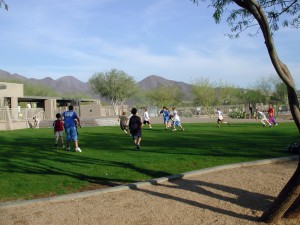 DSCN0704